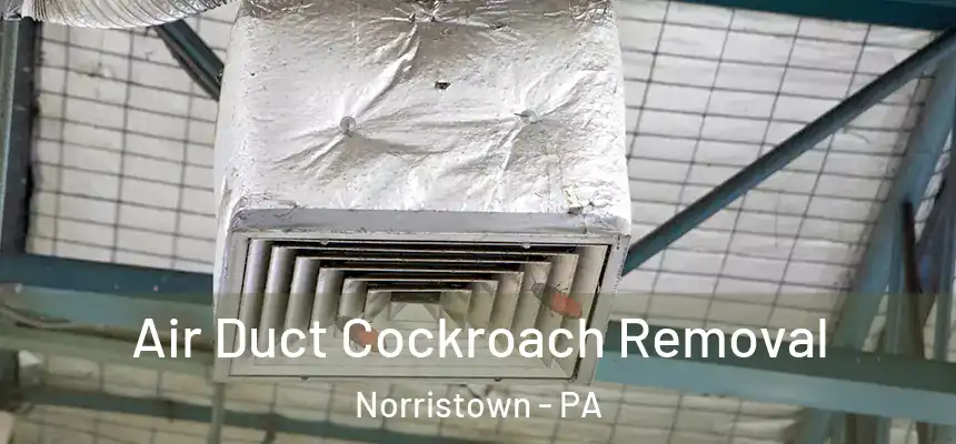  Air Duct Cockroach Removal Norristown - PA