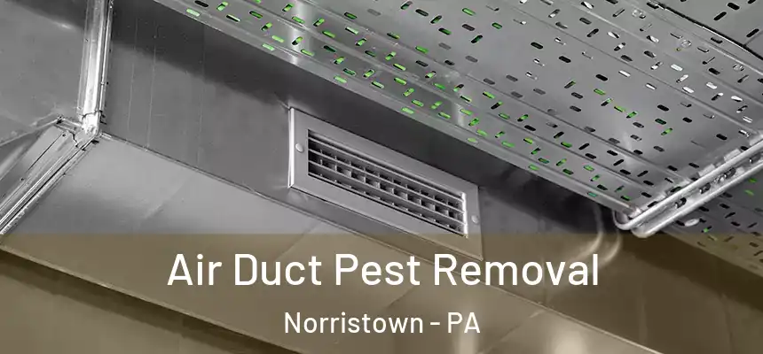 Air Duct Pest Removal Norristown - PA