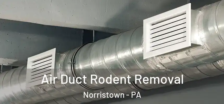 Air Duct Rodent Removal Norristown - PA