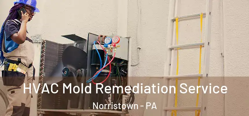 HVAC Mold Remediation Service Norristown - PA