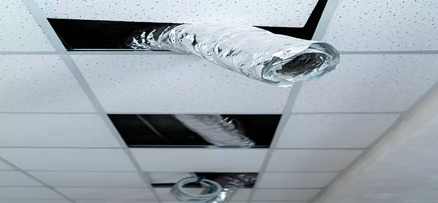 Affordable HVAC Sanitizing After Pest Removal in Norristown