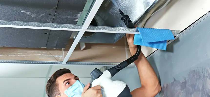 Our Air Duct Rodent Removal Services in Norristown, PA