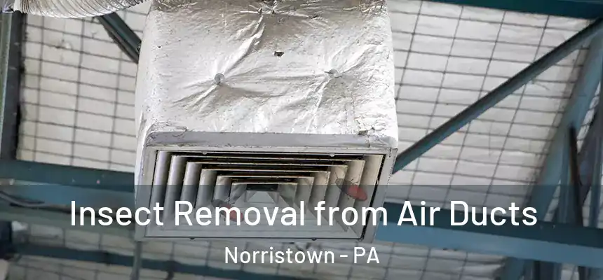 Insect Removal from Air Ducts Norristown - PA