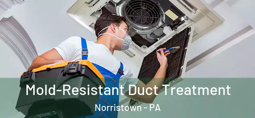  Mold-Resistant Duct Treatment Norristown - PA