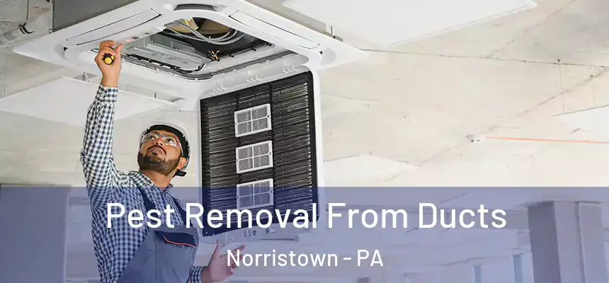  Pest Removal From Ducts Norristown - PA