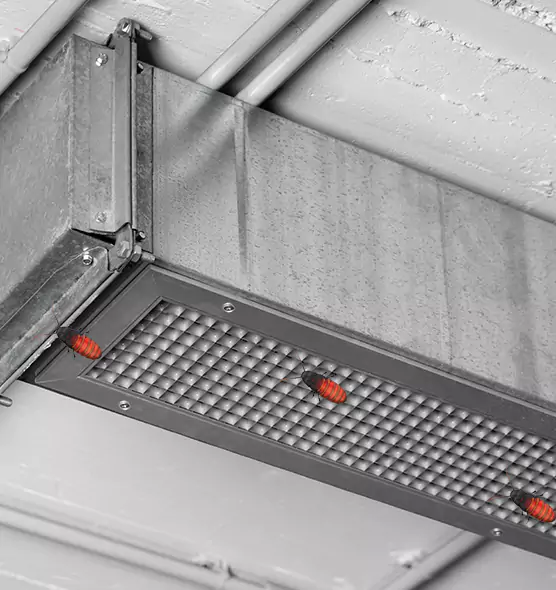 Affordable Insect Removal from Air Ducts in Norristown, PA