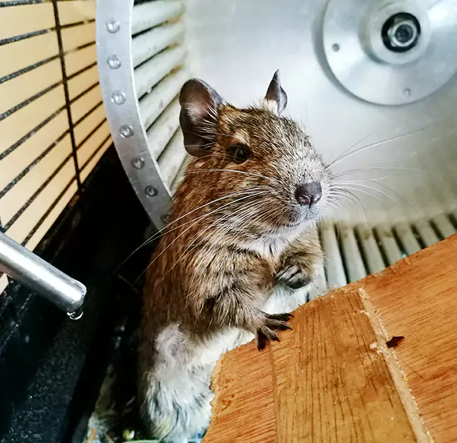 Why Homeowners & Businesses Trust Us Norristown, PA