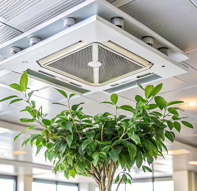 Why Homeowners & Businesses Trust Us in Norristown, PA